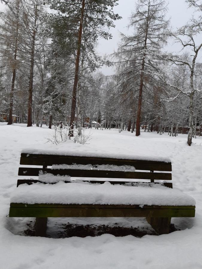 Suite Panoramablick Seefeld Seefeld w Tirolu Zewnętrze zdjęcie