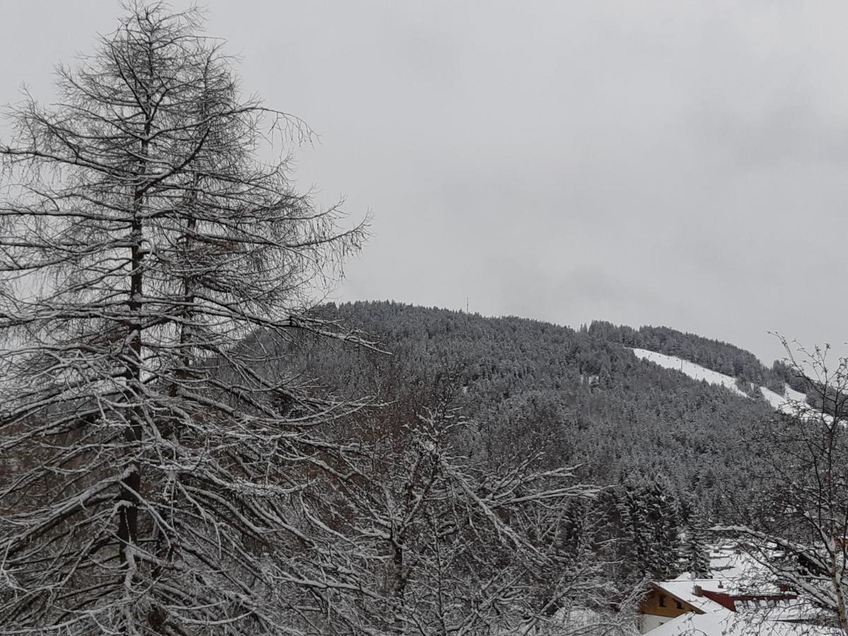 Suite Panoramablick Seefeld Seefeld w Tirolu Zewnętrze zdjęcie